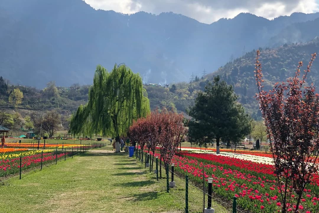 Customized Srinagar to Srinagar Package thumbnail 3