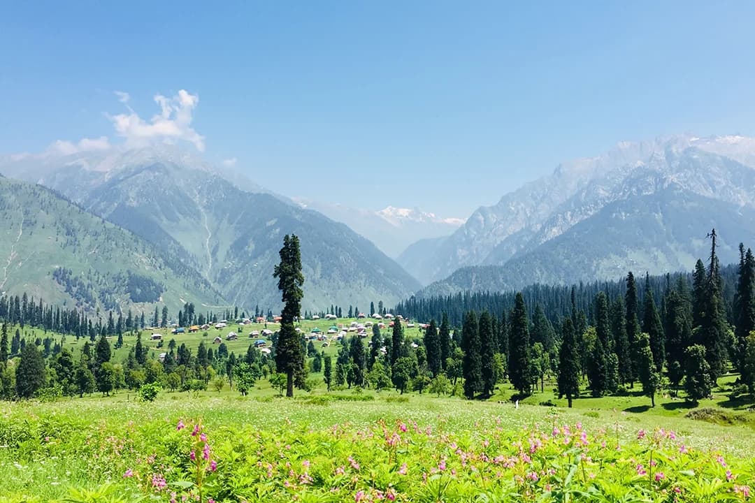 Kashmir Tour Package thumbnail 2