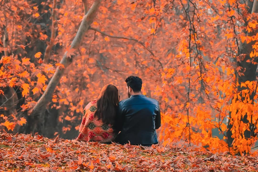 Kashmir Honeymoon Package