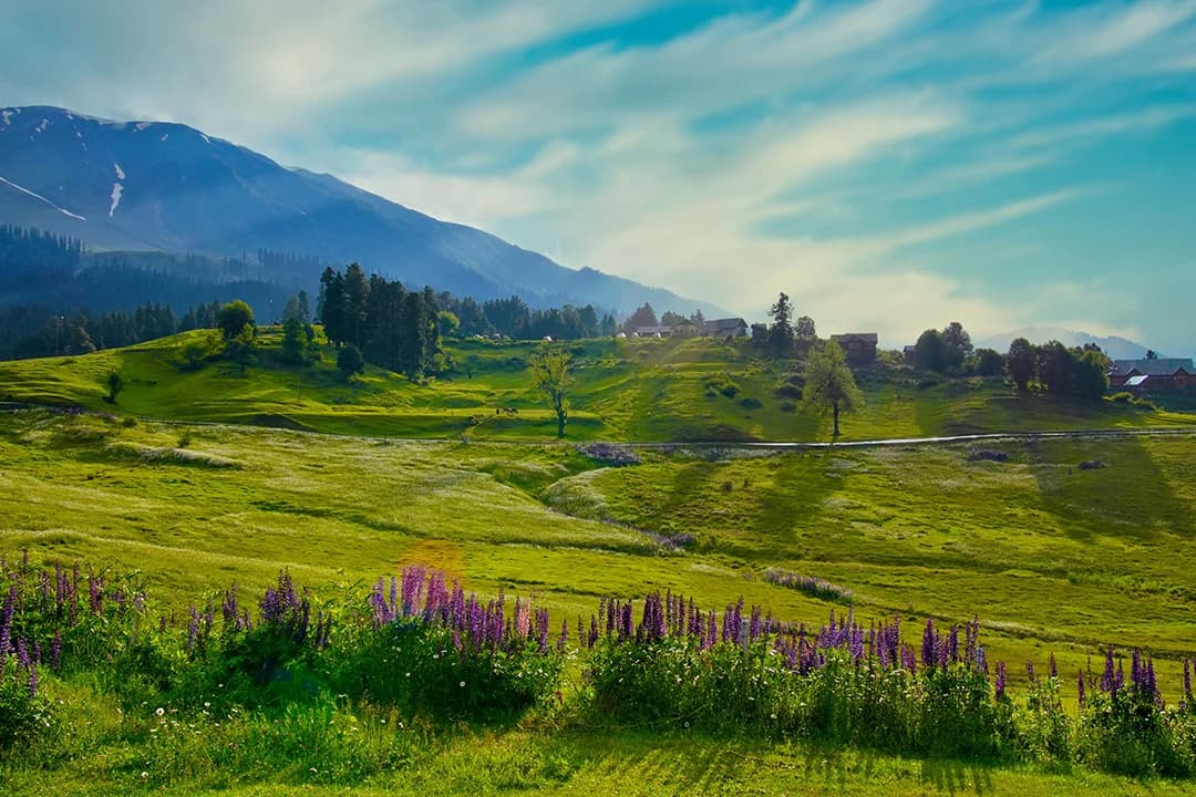 Kashmir Tour Package